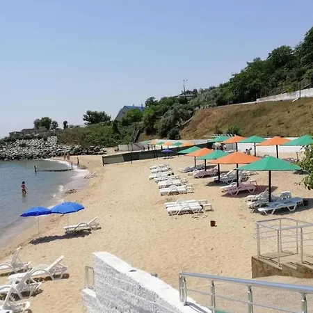 у моря совиньон 敖德萨