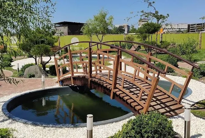 у моря совиньон *